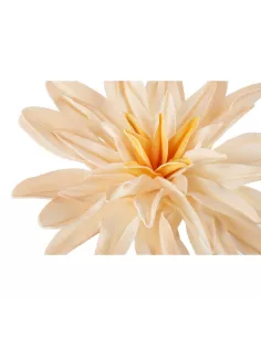 Dalia Crema - I Fiori L'Oca Nera 2