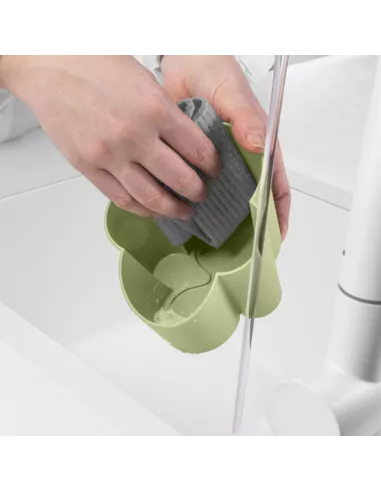 Scolaposate Gocciolo Colore Forest Light