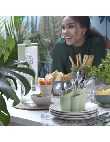 Scolaposate Gocciolo Colore Forest Light