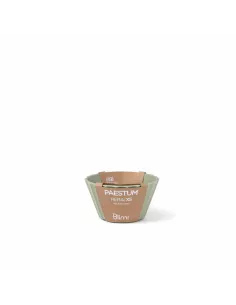 Coppetta Gelato/Macedonia XS Hera Colore Verde - 1pz 2