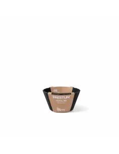 Coppetta Gelato/Macedonia XS Hera Colore Nero - 1pz 2