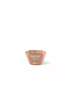 Coppetta Gelato/Macedonia XS Hera Colore Rosa - 1pz 2