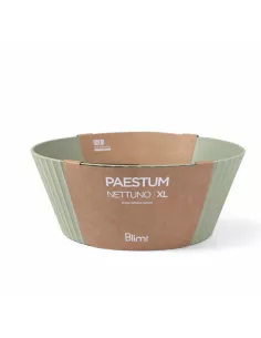 Ciotola XL Nettuno Colore Verde 2