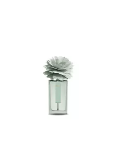 Peony Diffuser 50ml Cuoio E Frutti