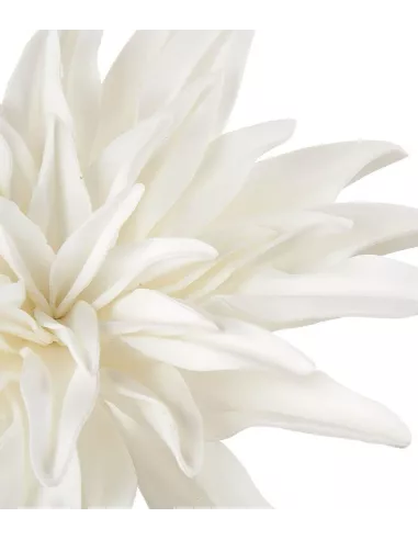 Dalia Bianco - I Fiori L'Oca Nera