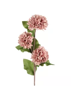 Dalia Rosa Antico - I Fiori L'Oca Nera