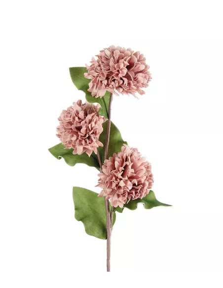 Dalia Rosa Antico - I Fiori L'Oca Nera