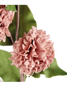 Dalia Rosa Antico - I Fiori L'Oca Nera 2