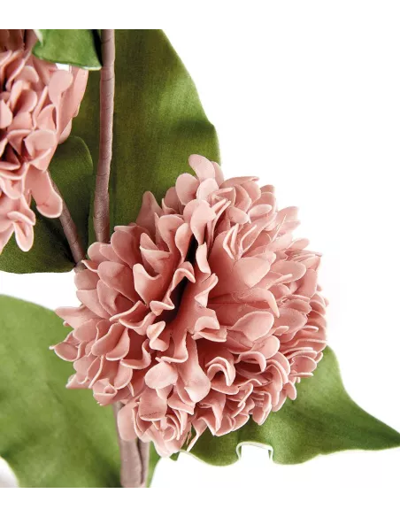 Dalia Rosa Antico - I Fiori L'Oca Nera