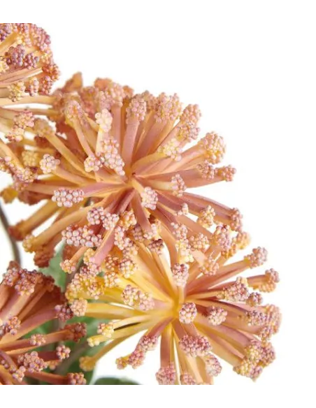 Protea Nutan Giallo - I Fiori L'Oca Nera