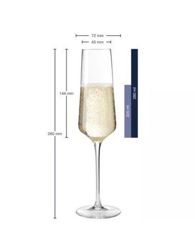 Set 6 Flute 280ml Puccini