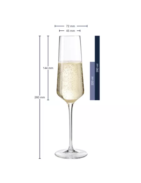 Set 6 Flute 280ml Puccini