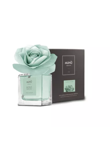 Profumatore D'ambiente Rosa Diffuser Cuoio e Frutti 100 Ml