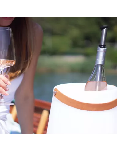 Stick Raffredda Vino In Acciaio Inox Con Tappo Ermetico E Beccuccio Versatore