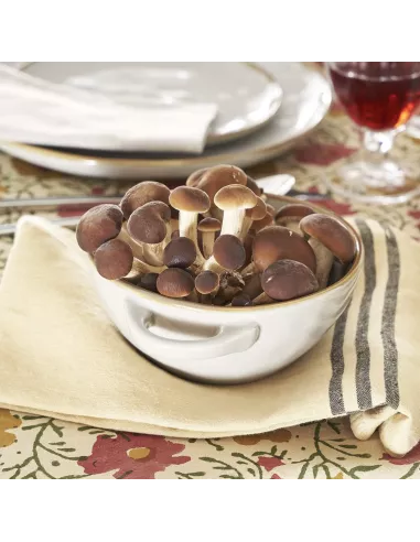 Concerto Avorio Ciotola Zuppa Con Manici 600cc