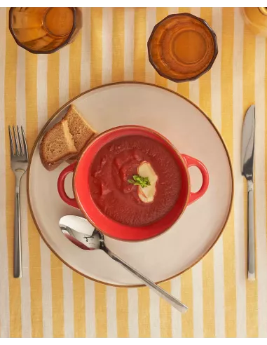 Concerto Corallo Ciotola Zuppa Con Manici 600cc