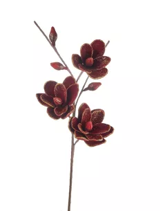 Fiore Rosso 2 - Petali Preziosi
