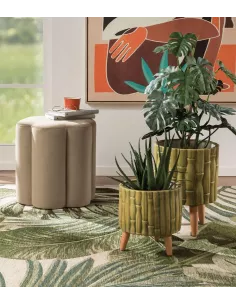 Monstera Deliciosa - L'oca Nera 2