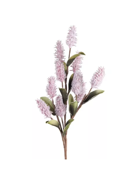 Pink Mulla Mulla - I Fiori L'Oca Nera