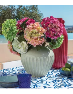 Ortensia Bianca - I Fiori L'Oca Nera 2