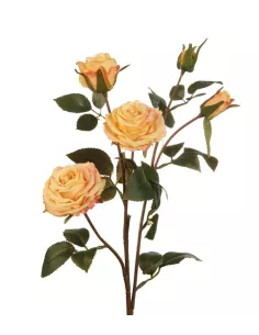 Rose Gialle - I Fiori L'Oca Nera