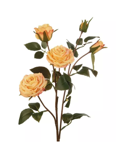 Rose Gialle - I Fiori L'Oca Nera