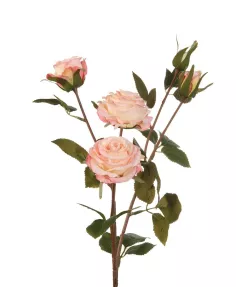 Rose Rosa Chiaro - I Fiori L'Oca Nera