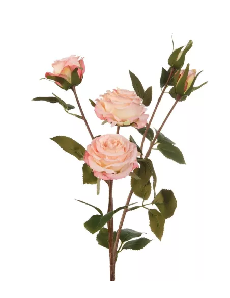 Rose Rosa Chiaro - I Fiori L'Oca Nera