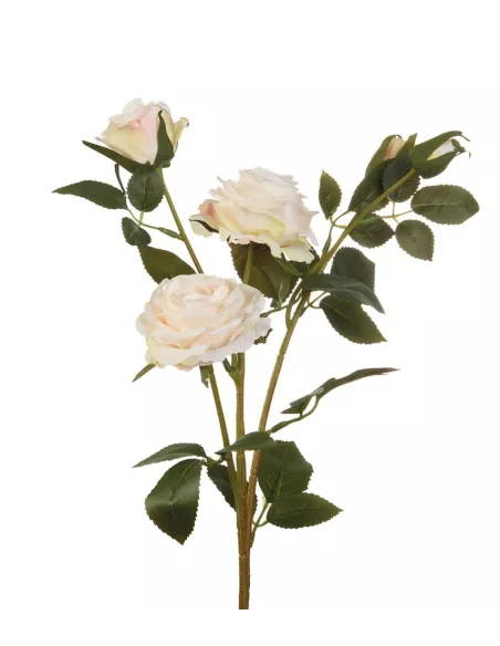 Rose Bianche - I Fiori L'Oca Nera