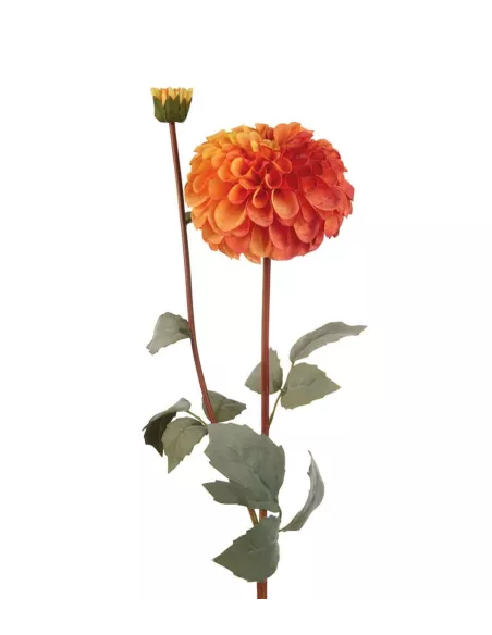 Dalia Arancione - I Fiori L'Oca Nera