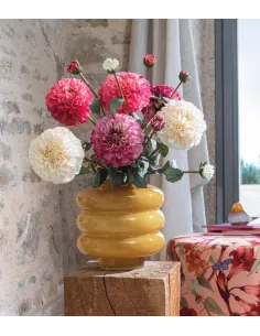 Dalia Rosa - I Fiori L'Oca Nera 2