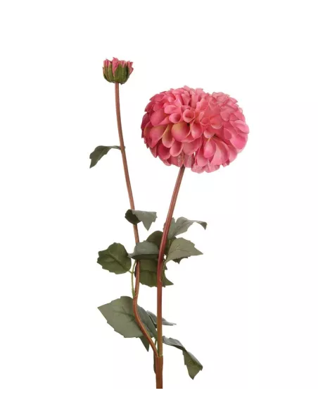 Dalia Rosa - I Fiori L'Oca Nera