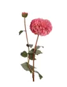 Dalia Rosa - I Fiori L'Oca Nera