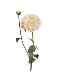 Dalia Bianca - I Fiori L'Oca Nera