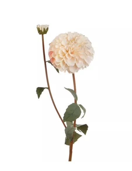 Dalia Bianca - I Fiori L'Oca Nera