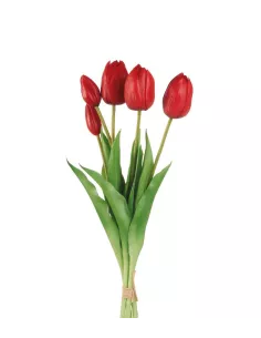 Tulipani Rossi - I Fiori L'Oca Nera