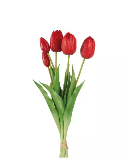 Tulipani Rossi - I Fiori L'Oca Nera