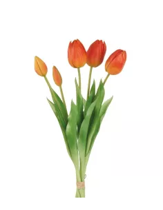 Tulipani Arancioni - I Fiori L'Oca Nera