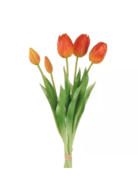 Tulipani Arancioni - I Fiori L'Oca Nera