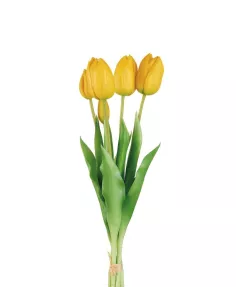 Tulipani Gialli- I Fiori L'Oca Nera