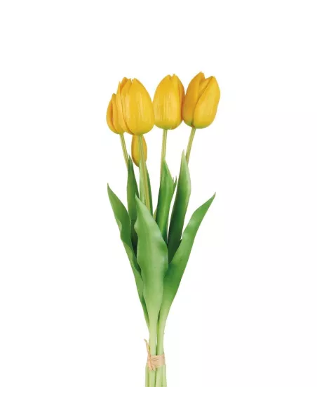 Tulipani Gialli- I Fiori L'Oca Nera