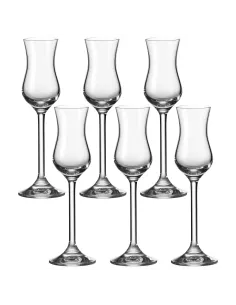Set 6 Calici Grappa in Vetro 100ml Daily