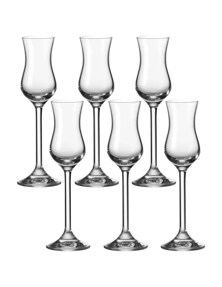 Set 6 Calici Grappa in Vetro 100ml Daily