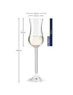 Set 6 Calici Grappa in Vetro 100ml Daily 2