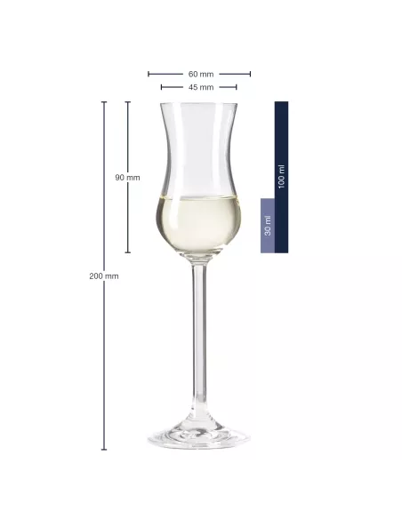 Set 6 Calici Grappa in Vetro 100ml Daily