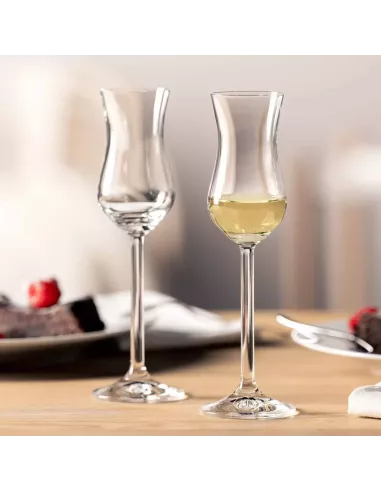 Set 6 Calici Grappa in Vetro 100ml Daily