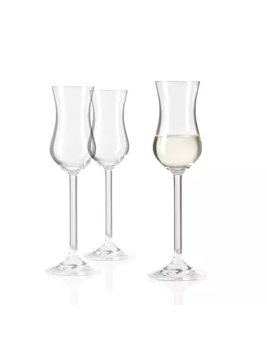Set 6 Calici Grappa in Vetro 100ml Daily