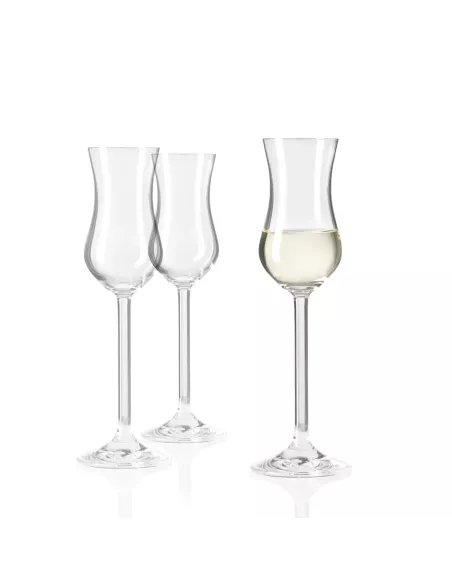 Set 6 Calici Grappa in Vetro 100ml Daily
