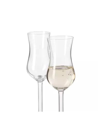 Set 6 Calici Grappa in Vetro 100ml Daily