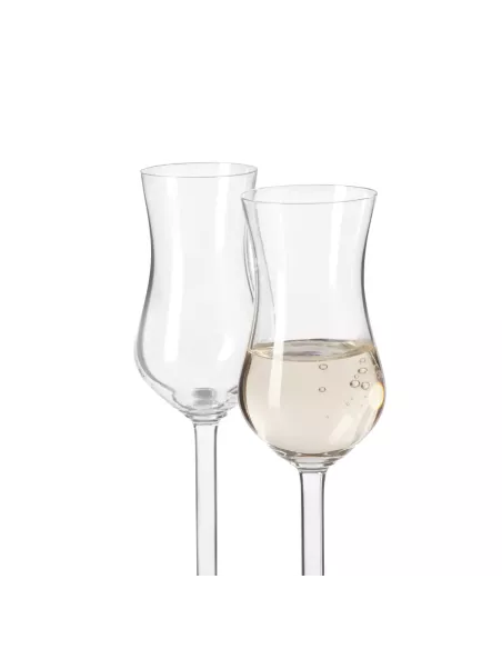 Set 6 Calici Grappa in Vetro 100ml Daily